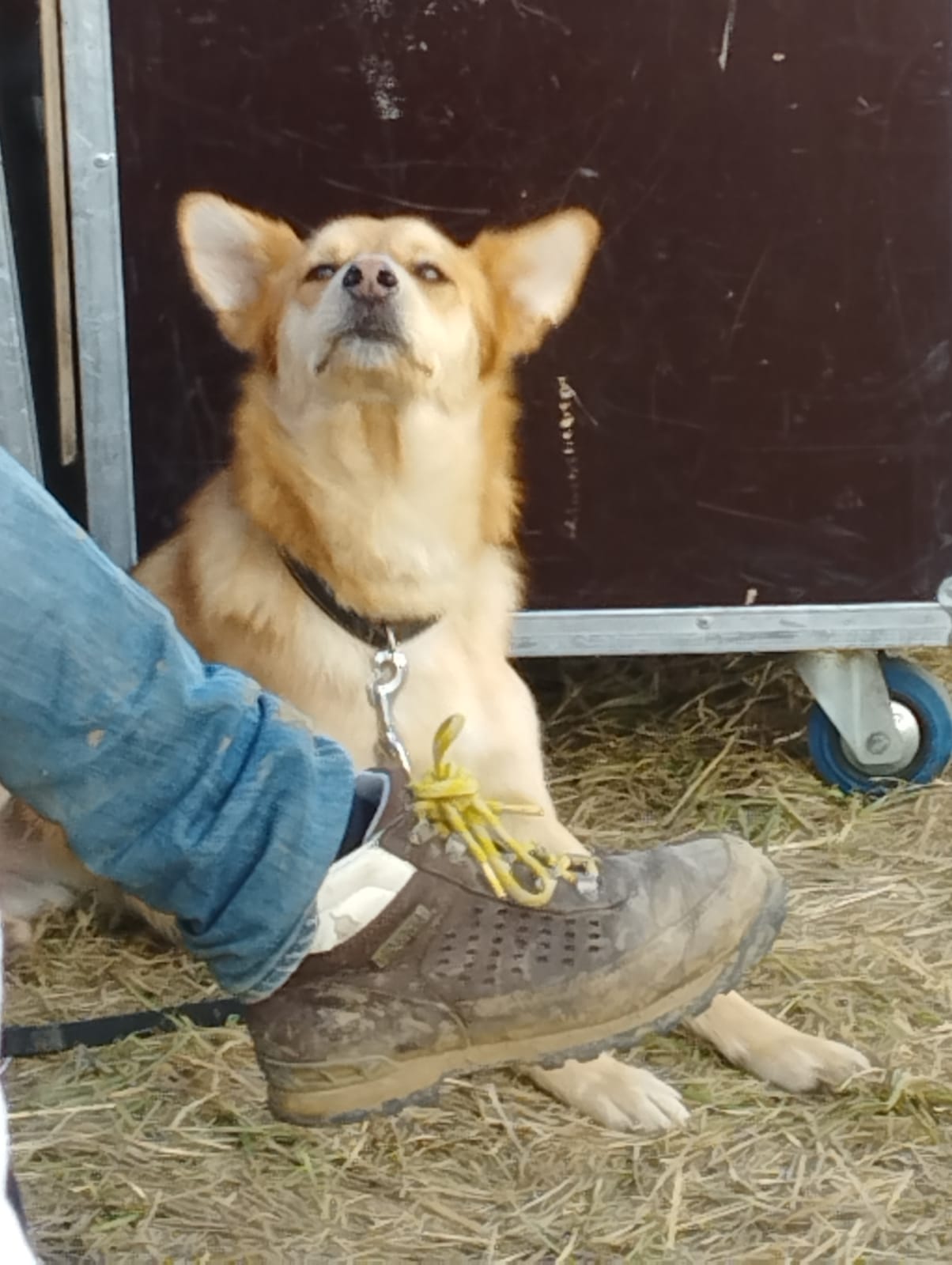 Le bar de la guinguette